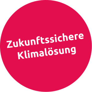 FRIO Blogbeitrag Stoerer GEG2026