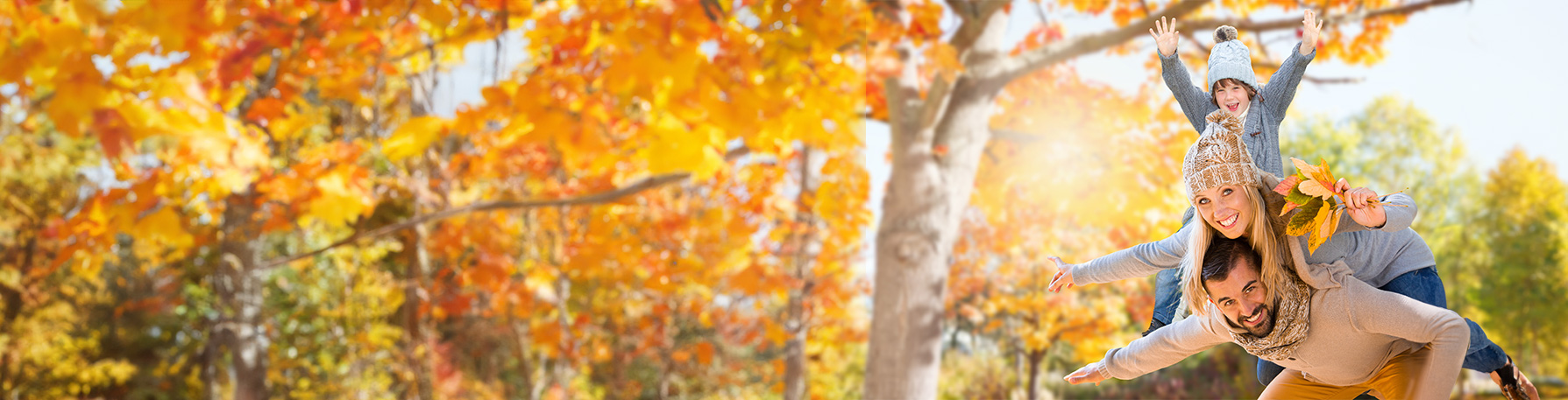 FRIO Banner Herbst 2023 2